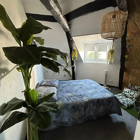 Apartamento Jungle Cosy