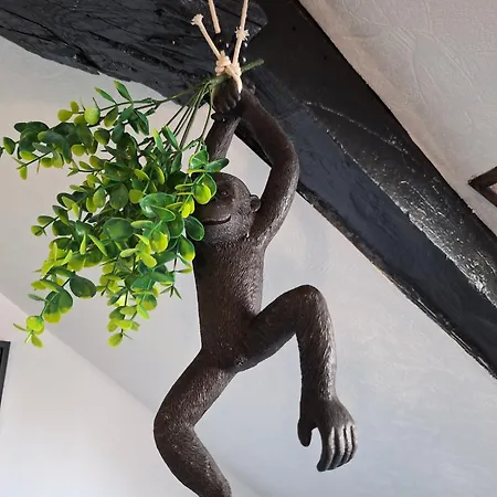 Jungle Cosy Lägenhet *