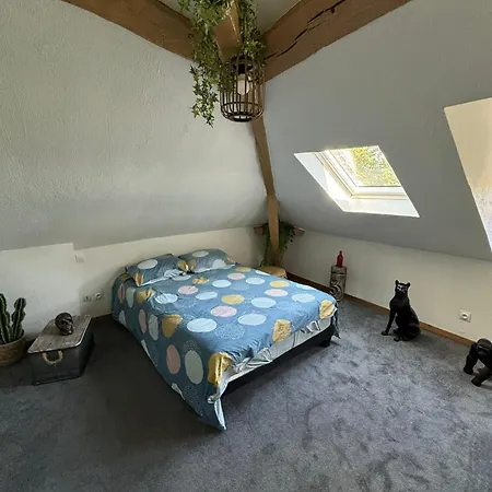 Apartamento Jungle Cosy *