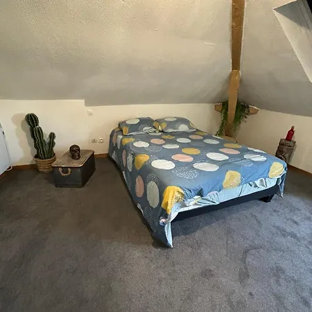 Jungle Cosy * Louviers