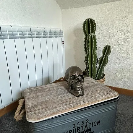 Jungle Cosy Apartamento *