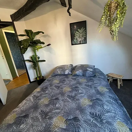 Jungle Cosy Apartamento Louviers