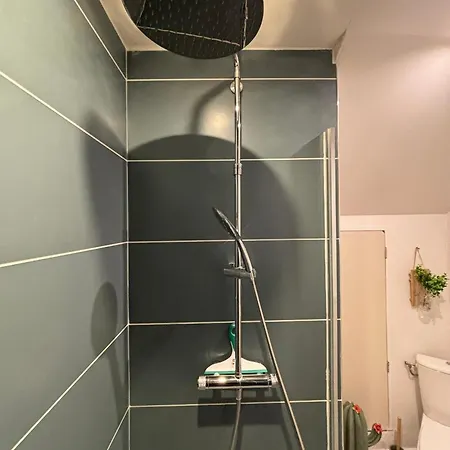 Jungle Cosy Louviers