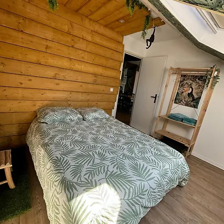 Jungle Cosy Lejlighed *
