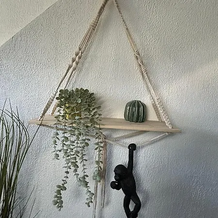 Jungle Cosy Louviers