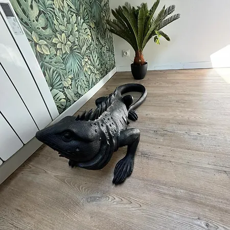 Jungle Cosy Lägenhet