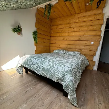 Apartamento Jungle Cosy