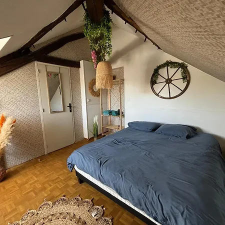 Jungle Cosy Apartamento *