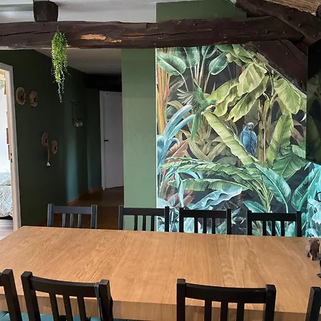 Jungle Cosy Louviers