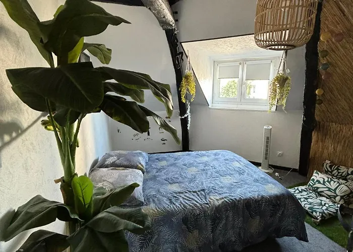 Apartment Jungle Cosy