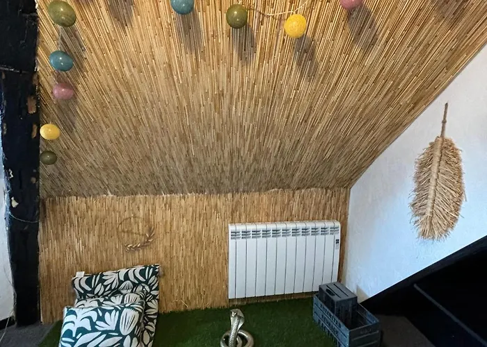 Jungle Cosy Louviers