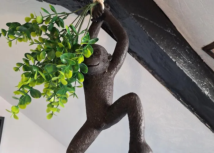 Jungle Cosy Apartment *