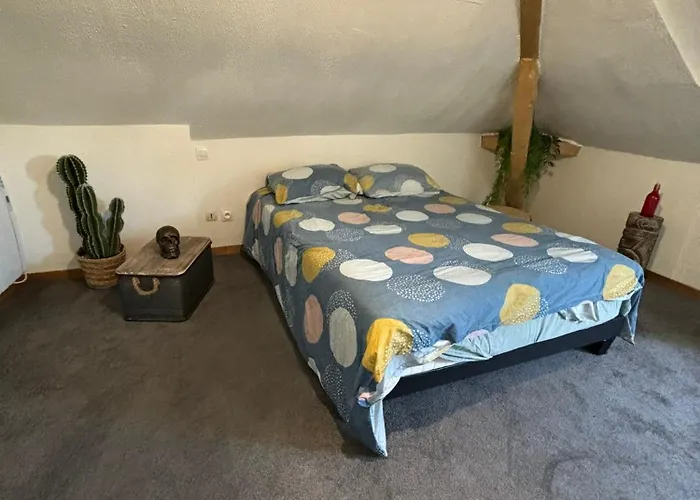 Jungle Cosy * Louviers