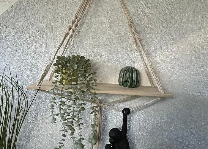 Jungle Cosy Louviers