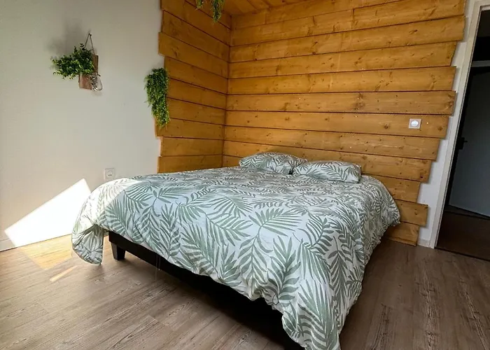 Apartment Jungle Cosy