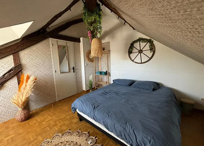 Jungle Cosy Apartment *