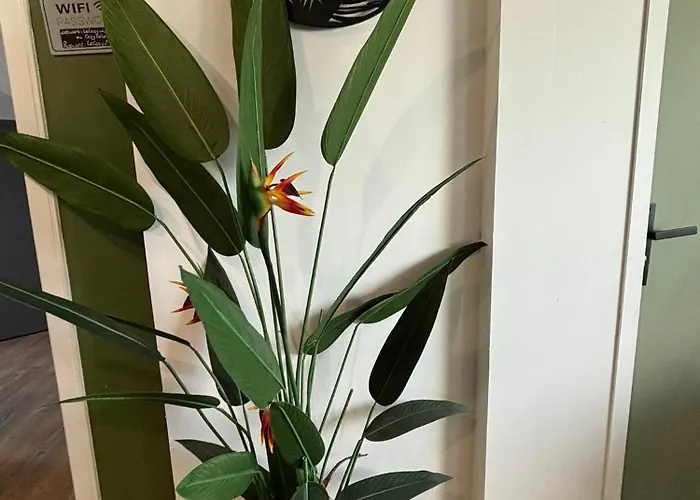 Apartment Jungle Cosy Louviers